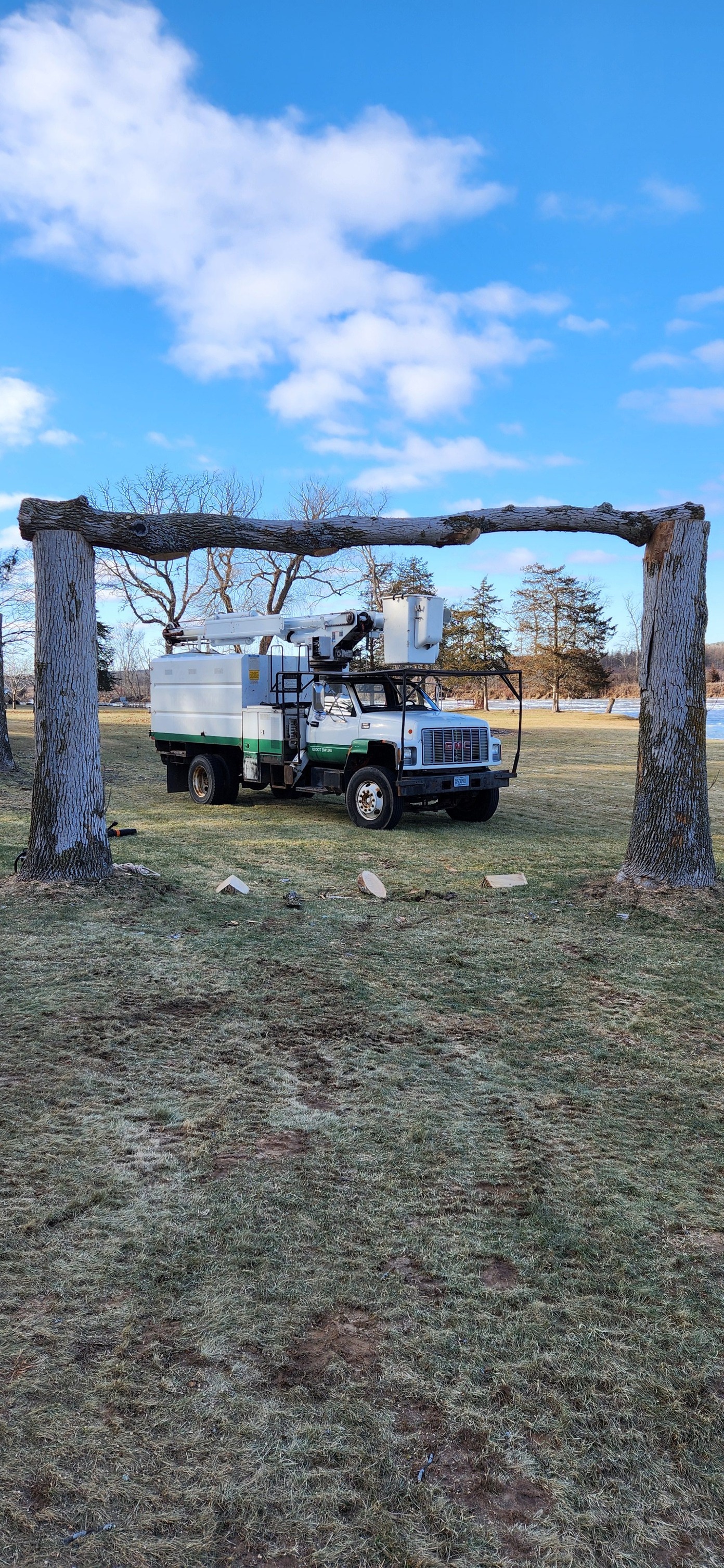Bucket truck staged for canopy work