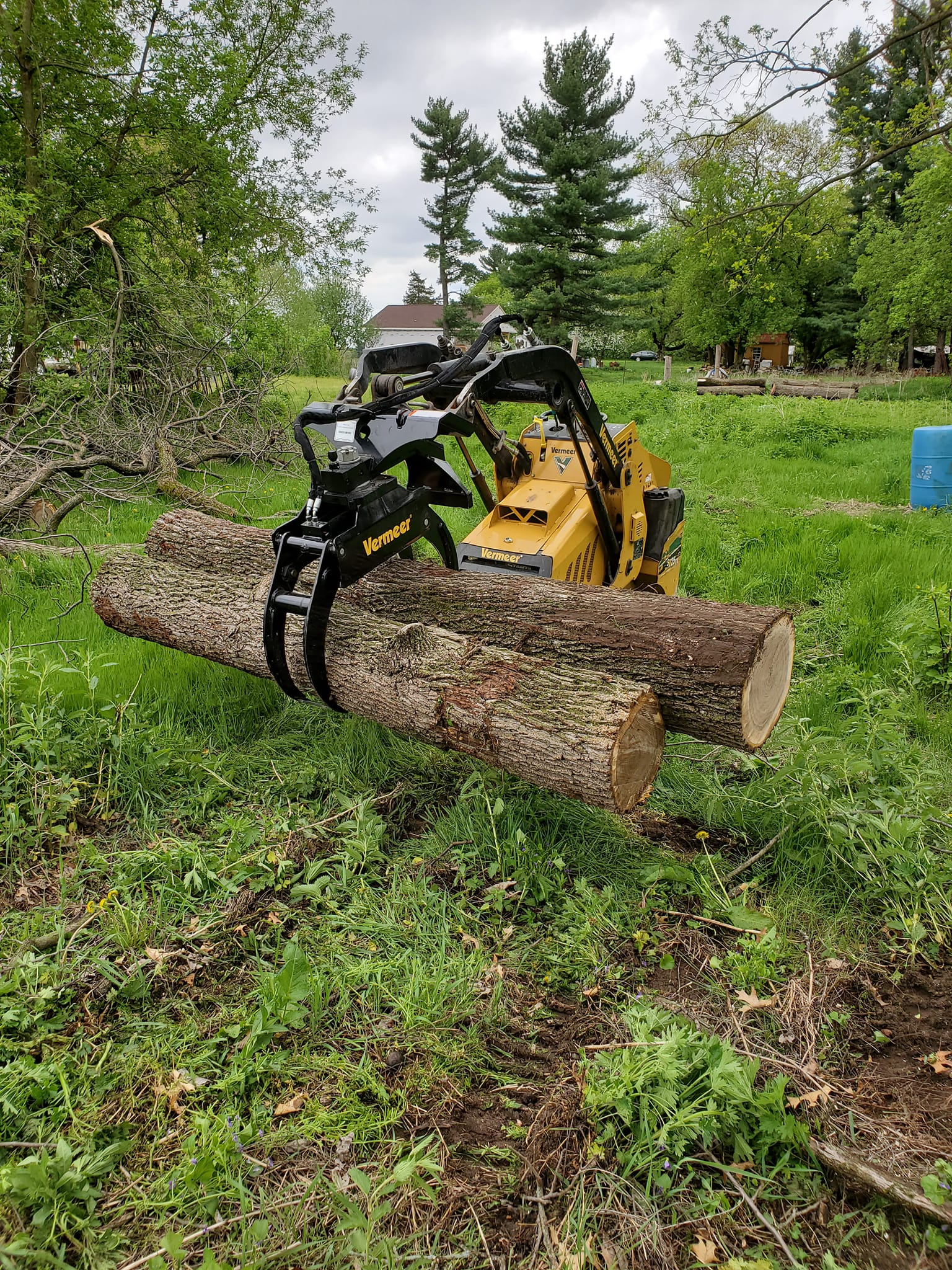 Knuckle-boom loading cut logs onto a trailer