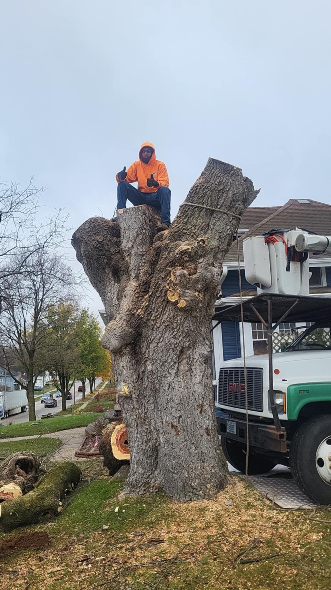 Owner Marty standing next to a freshly-removed oak